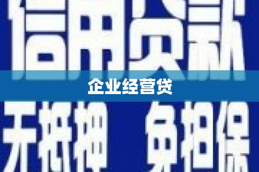 隆安企业经营贷